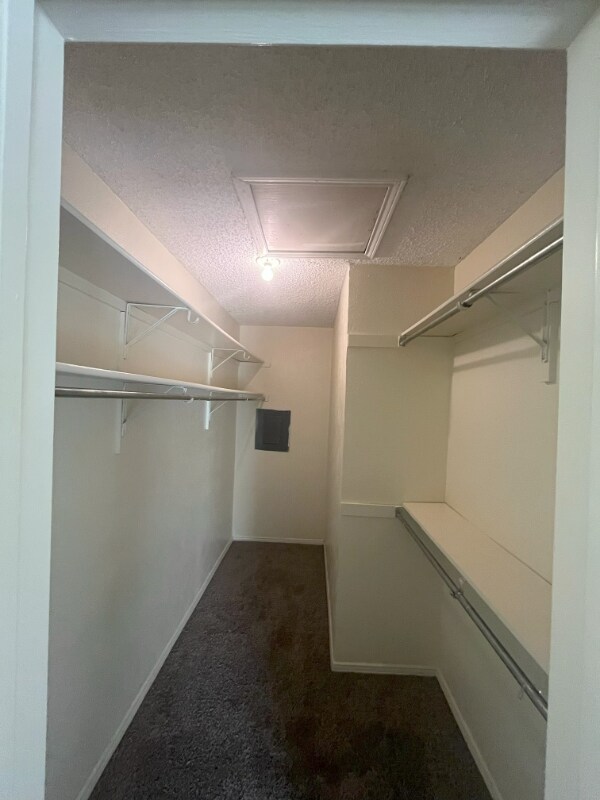 Building Photo - 2227 Madison Dr