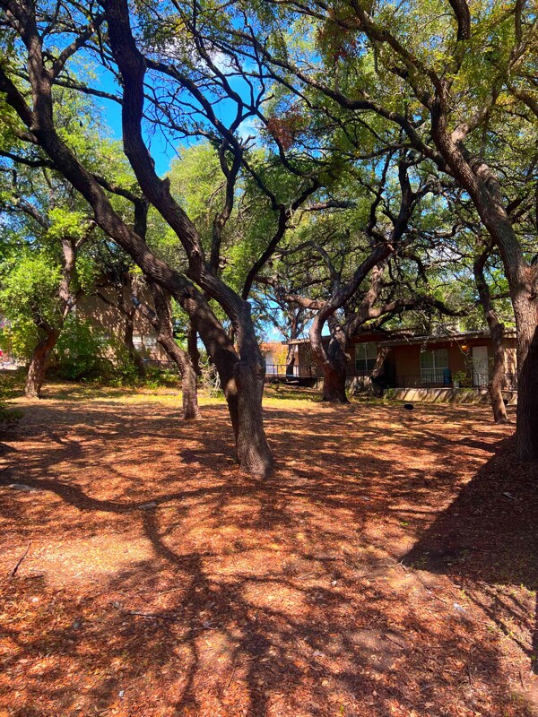 Building Photo - 401 Buchanan Dr