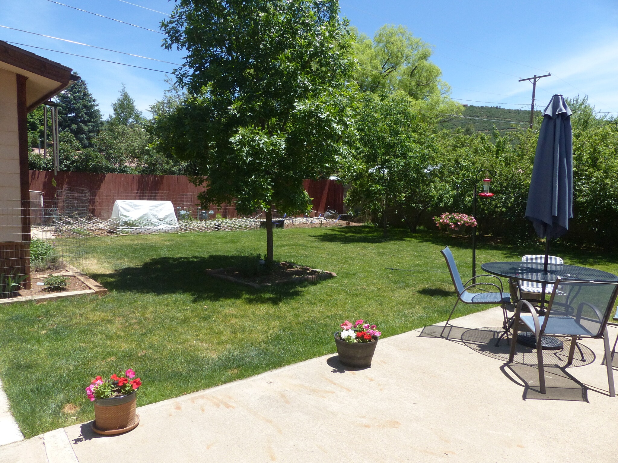 Back yard - 2708 Mesa Avenue