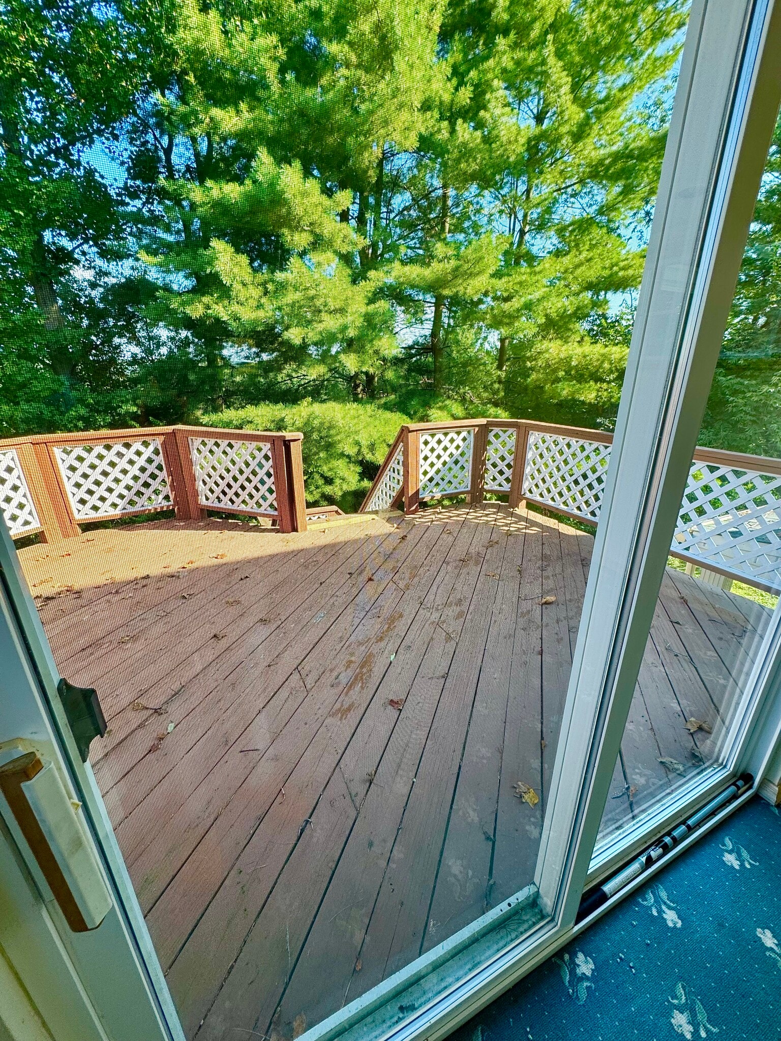 Building Photo - 229 Osceola Dr