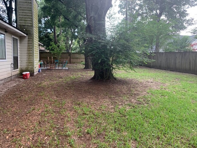 Back yard - 46 Held Cir