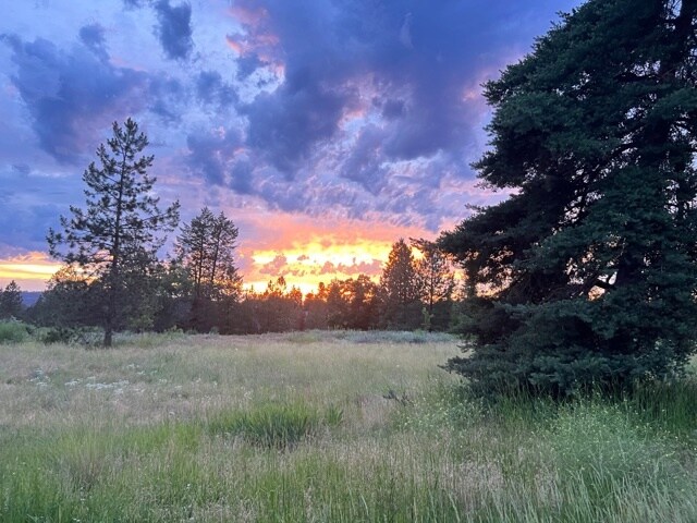 Building Photo - 2523 N Nettleton St