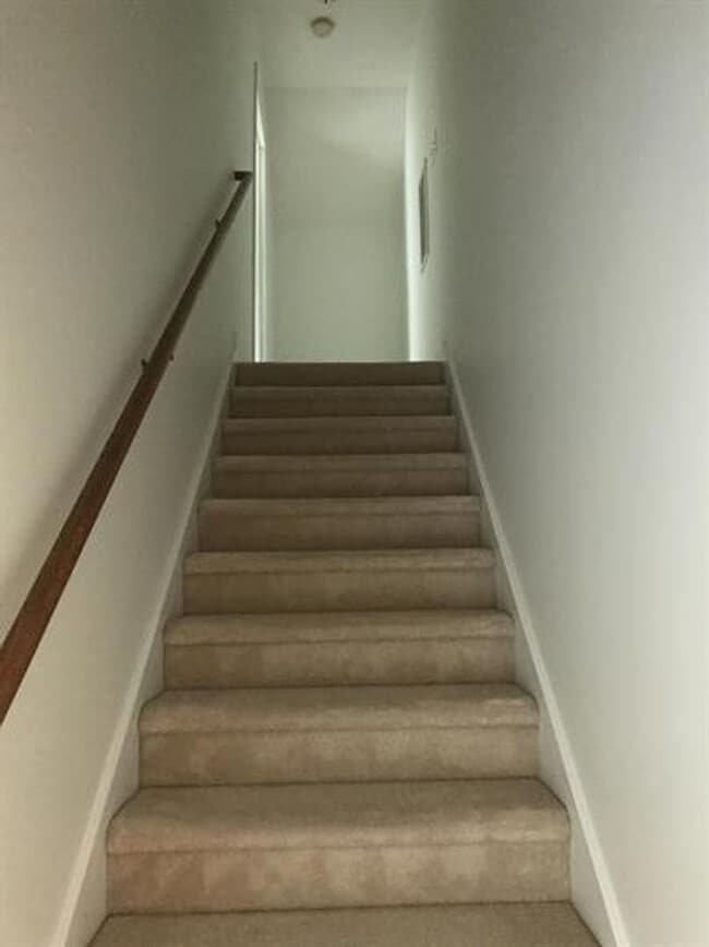 Building Photo - Carolina Lakes!!