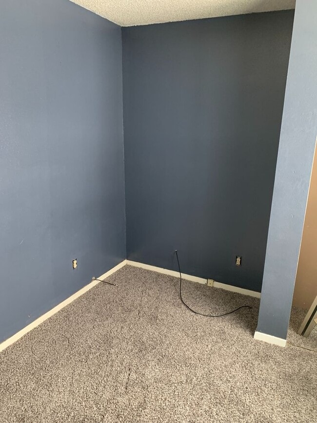 Building Photo - LARGE HOUSE IN CEDAR FALLS  fenced yard, deck, washer / dryer, central air,