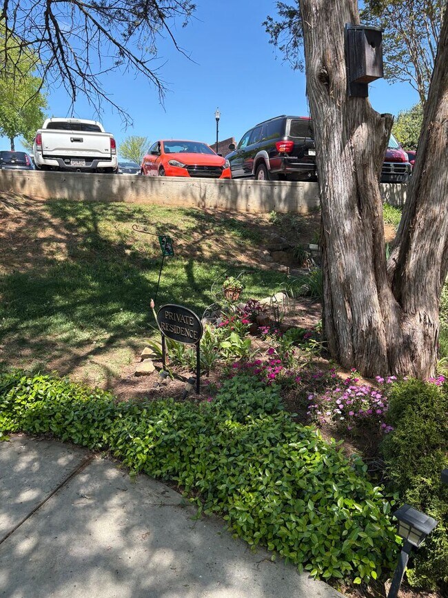 Building Photo - Lovely 2 Bedroom 2 full Bath Historical  Condo in Downtown Easley! Lawn Care and Trash Pickup inc...