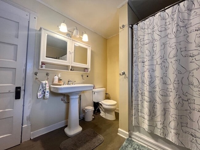 Building Photo - Historic 4-Bedroom Home - Close to UIUC Campus