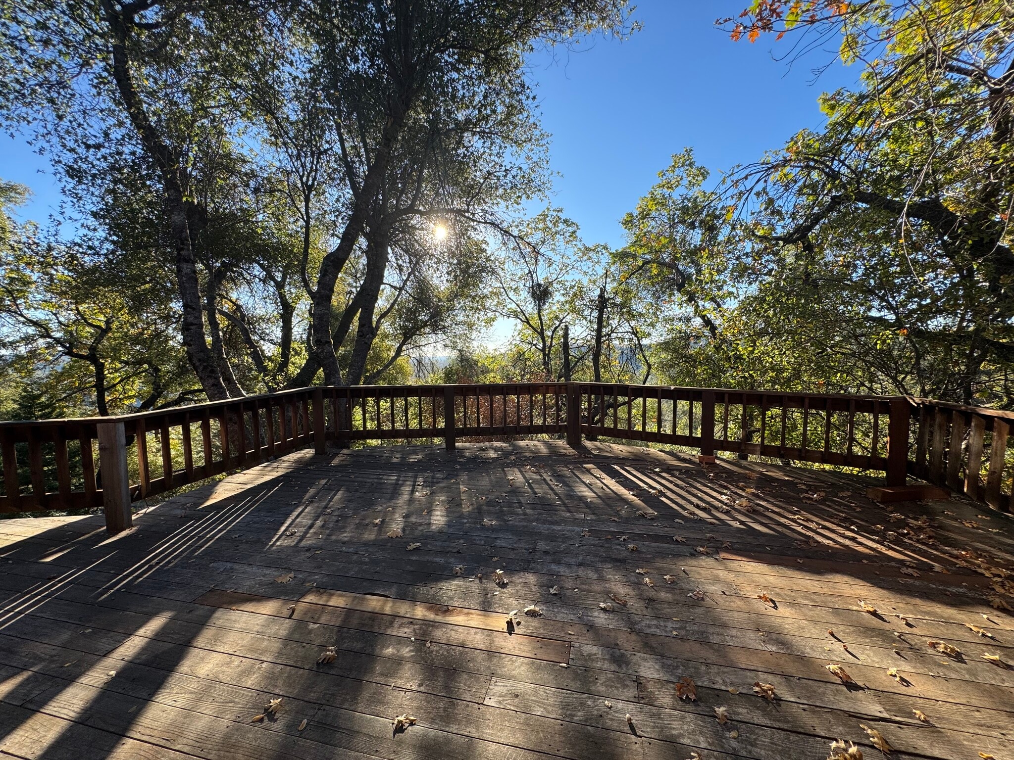 Building Photo - 3231 Blue Rhapsody Ln