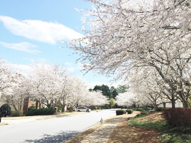 Building Photo - 10920 Donamere Dr