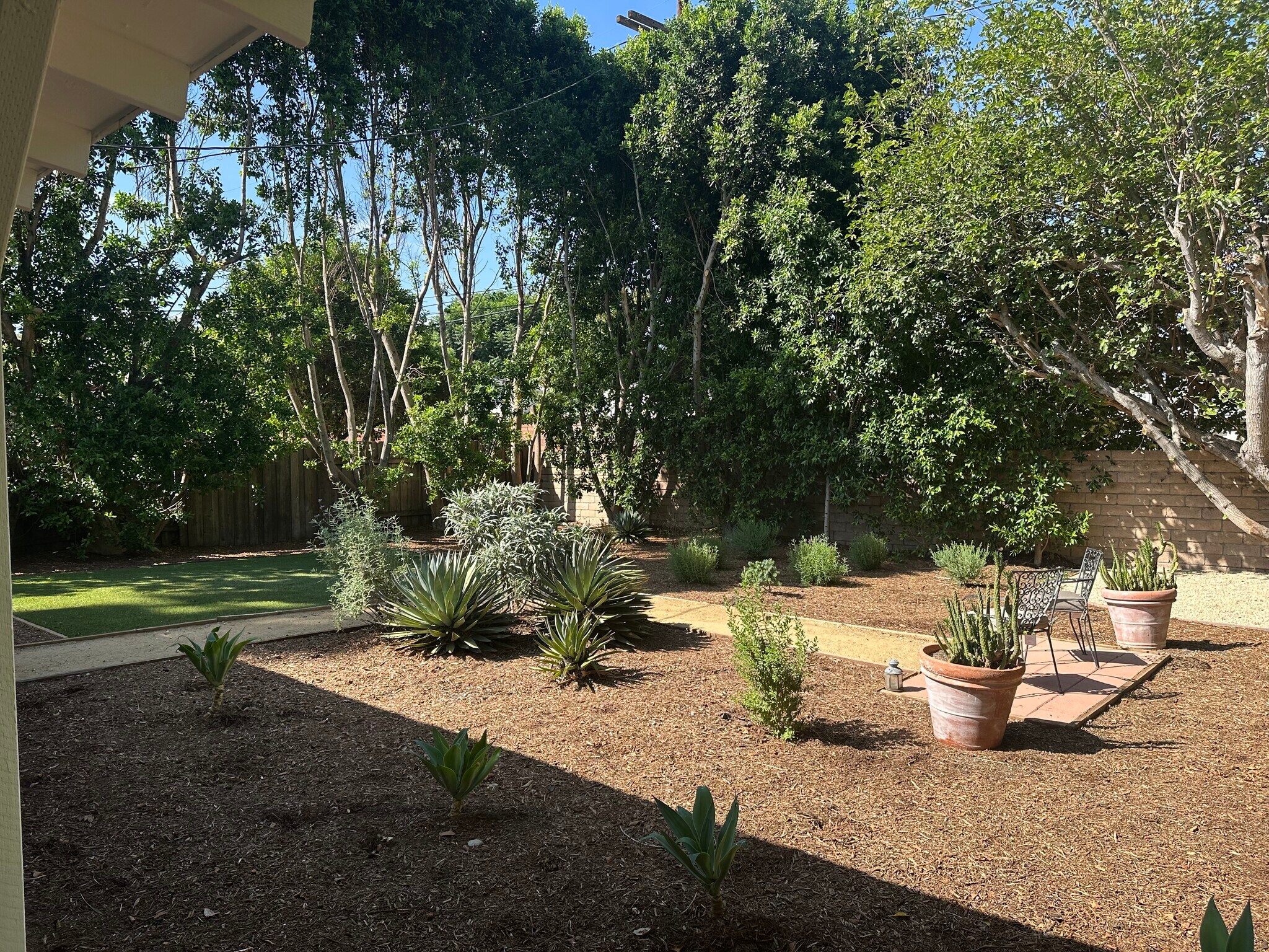 Backyard - 17935 Tiara St