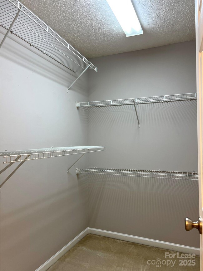 Building Photo - 17053 Turning Stick Ct