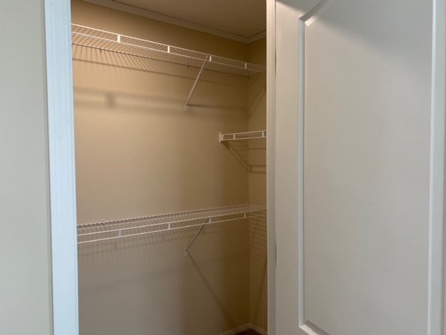 Building Photo - 1205 Wellington Dr