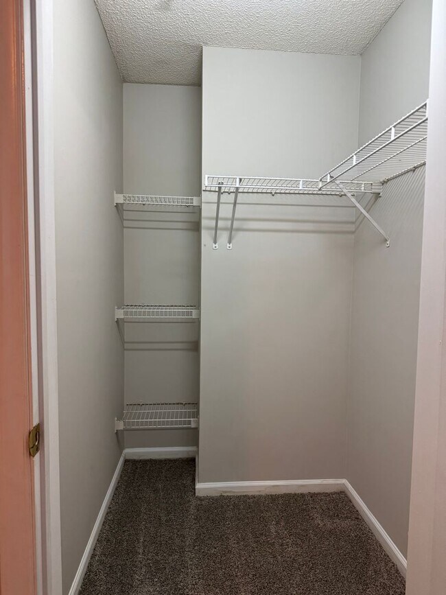 Building Photo - 3730 Pardue Woods Pl