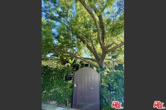 Building Photo - 2117 Alcyona Dr