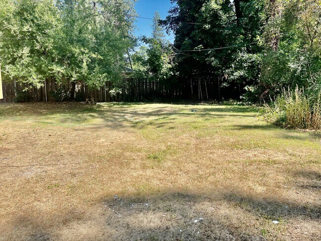 Building Photo - New on the Market!