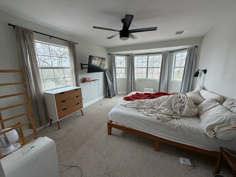 Building Photo - 4805 Brook Creek Cove