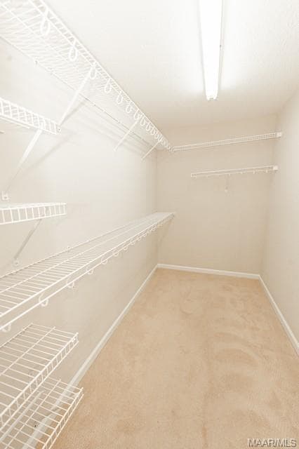 Building Photo - 8740 Lindsey Ln