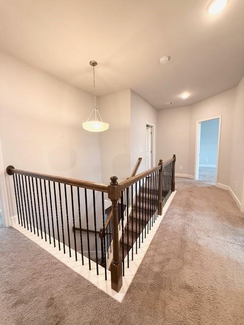 Building Photo - 4502 Big Rock Rdg Trl