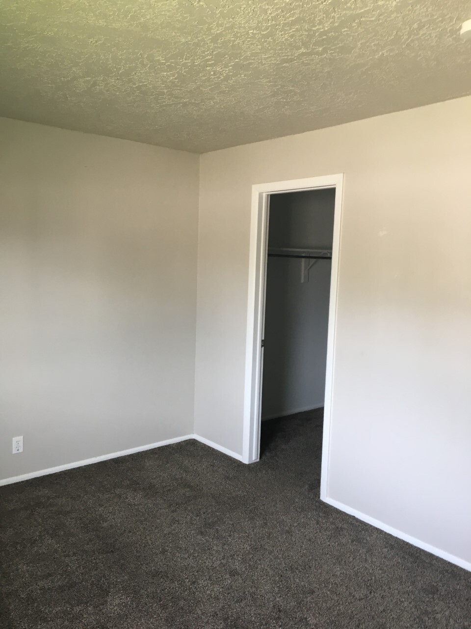 Building Photo - 2217 Bonniebrook Dr