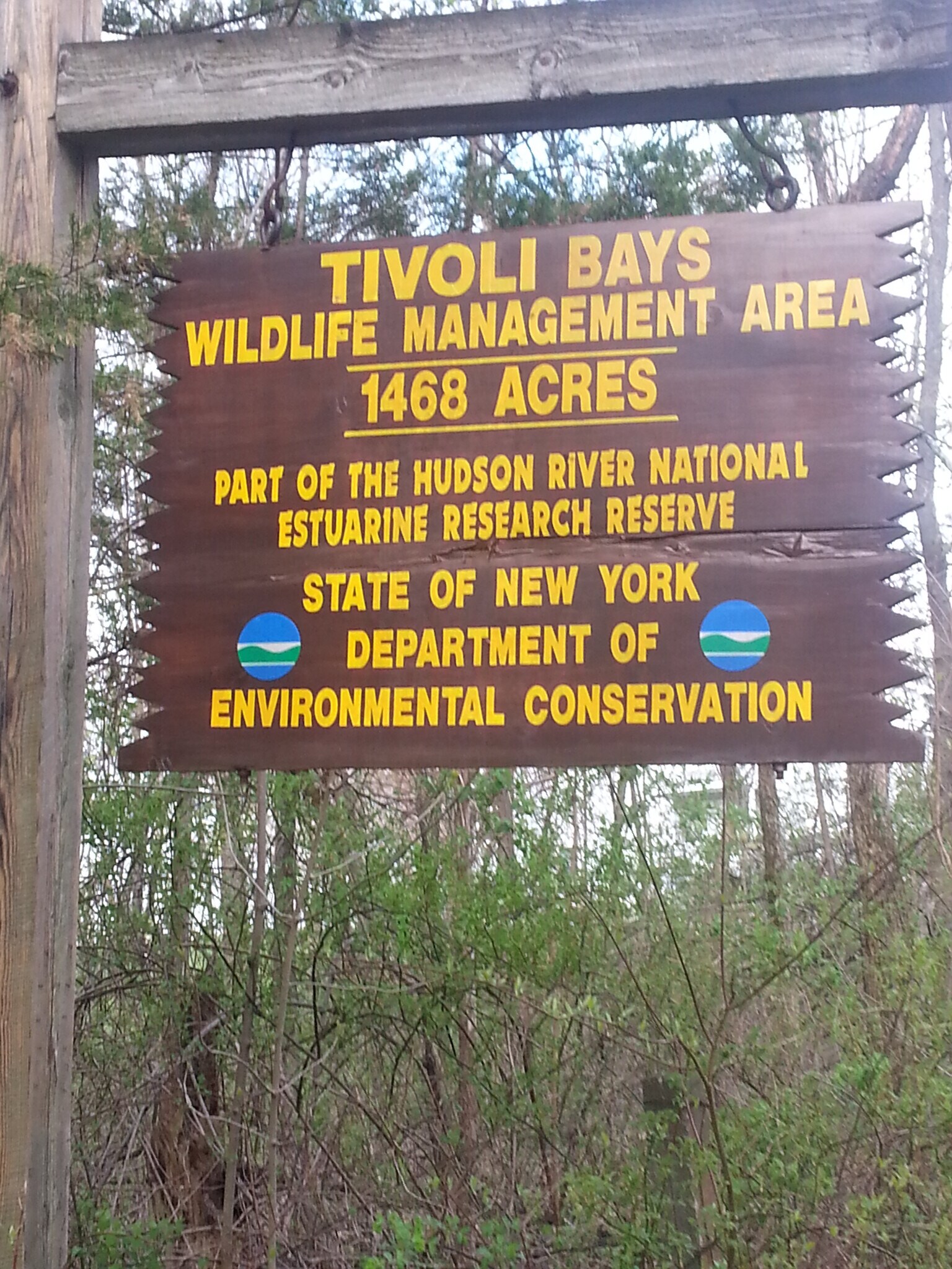 Building Photo - 13 Memorial Dr