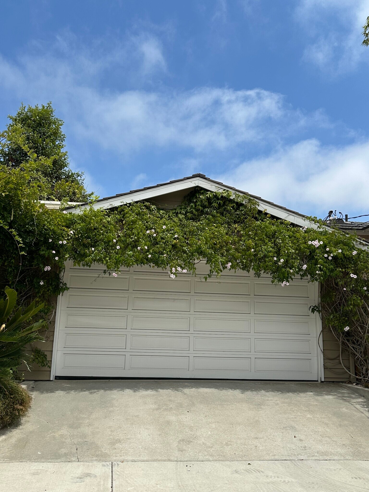 2 car garage - 1127 Virginia Way