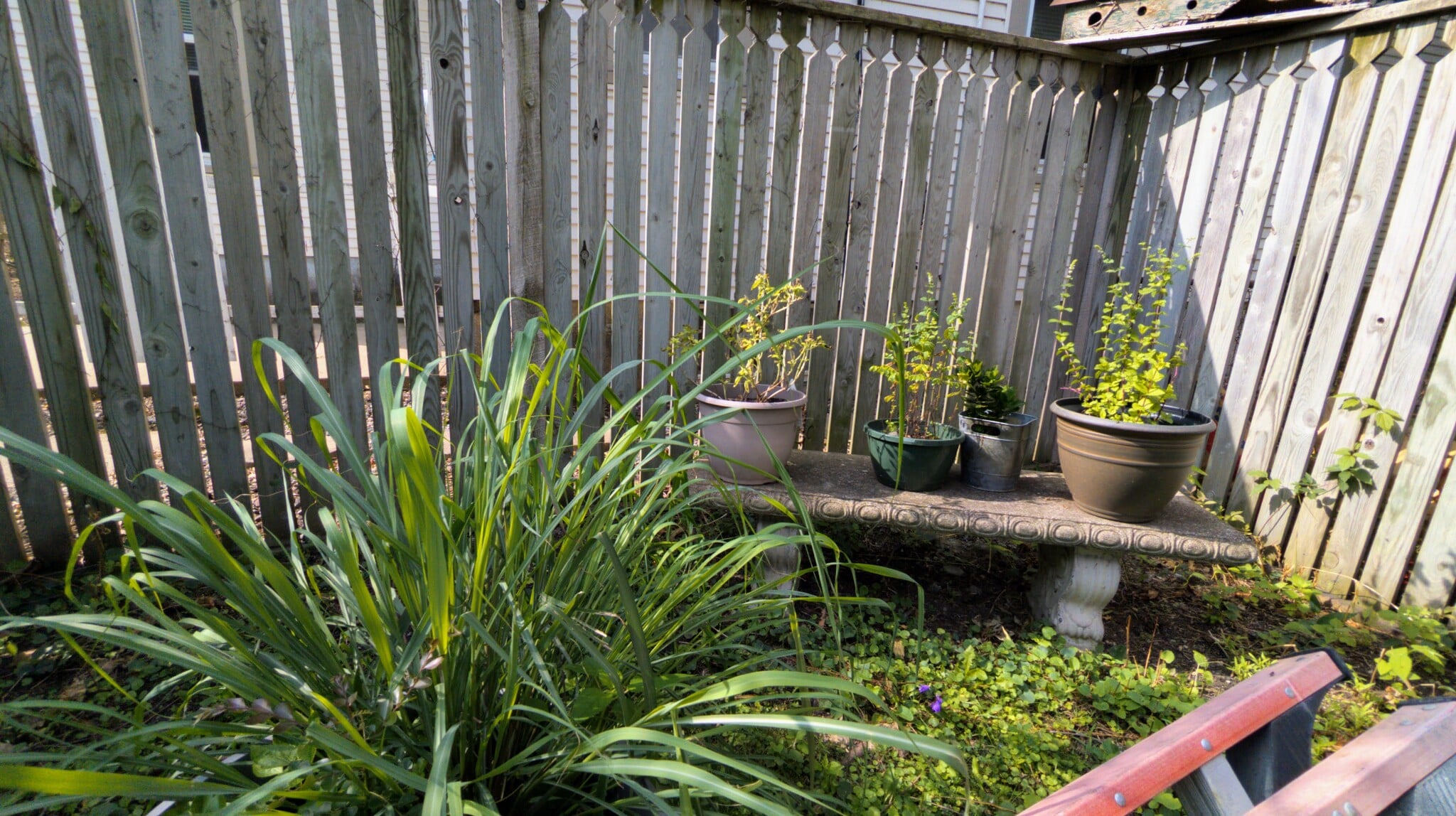 Building Photo - 3017 Knox Ave S