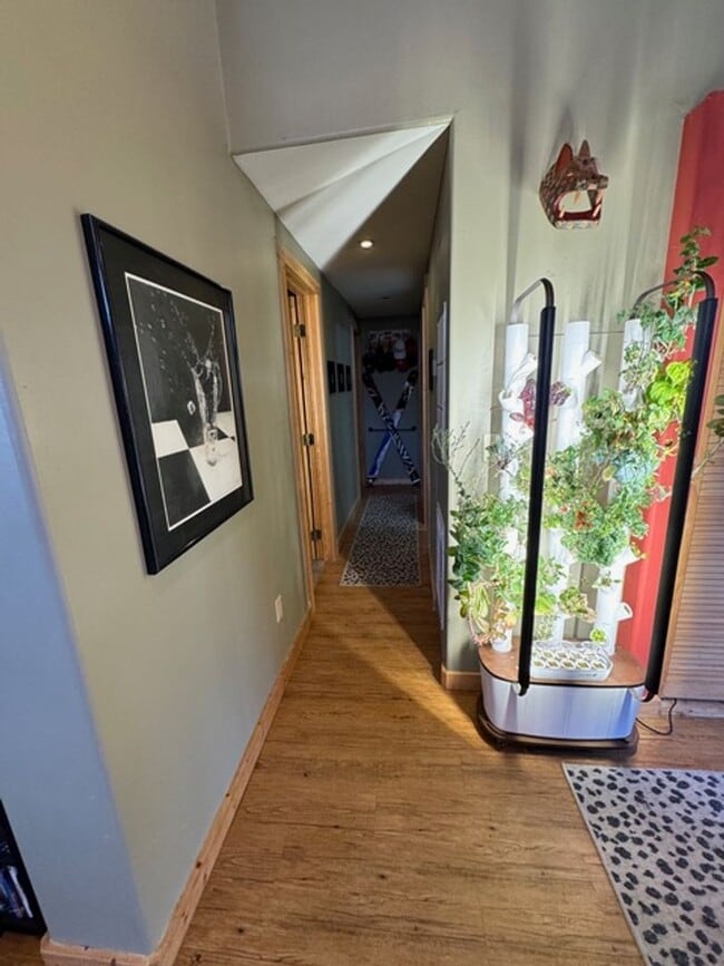 Building Photo - WOOF WOOF!  Come enjoy this pet friendly 3 Bedroom Breckenridge Home!  Hiking Trails and a Clubho...