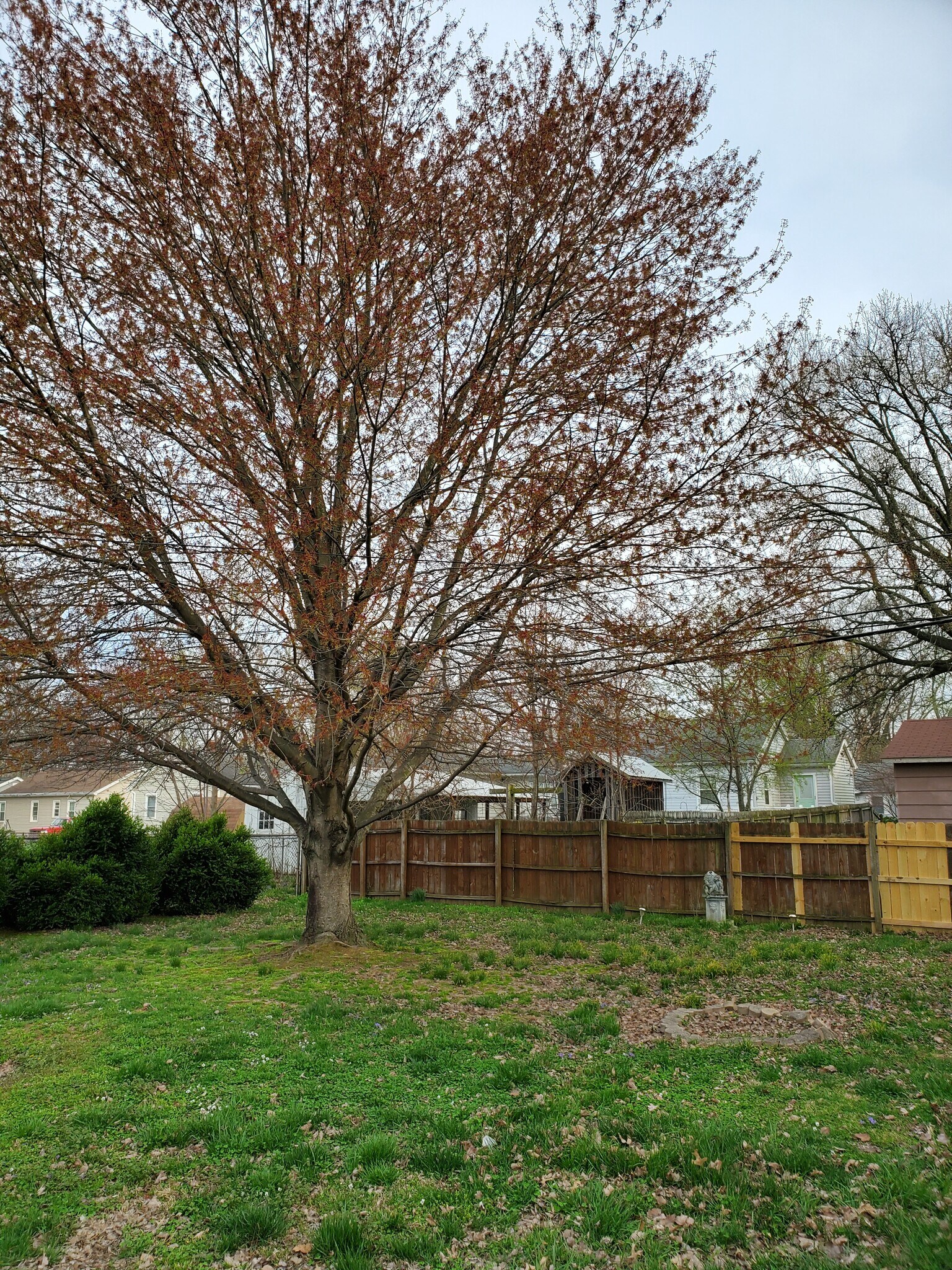 Backyard - Beautiful open space! - 2320 East Michigan Street