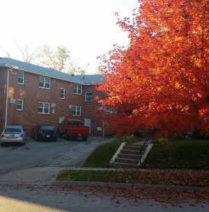 Building Photo - 3323 Webster St