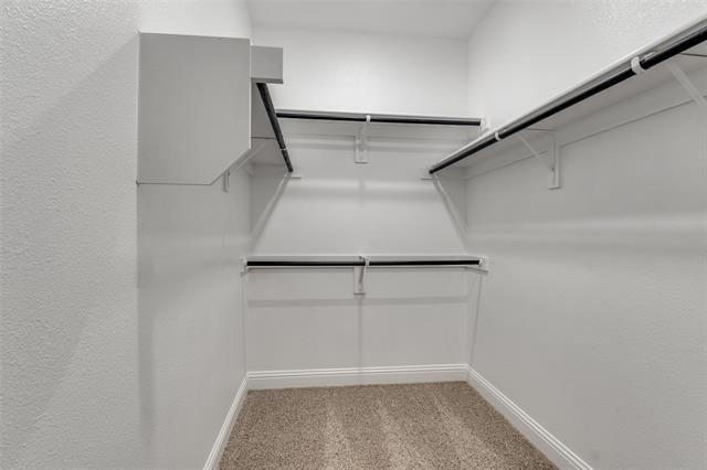 Building Photo - 1415 Enzo Ct
