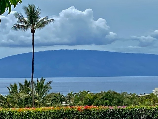 Building Photo - 50 Puu Anoano St