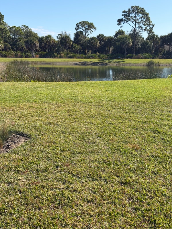 Building Photo - 16378 Preservation Blvd