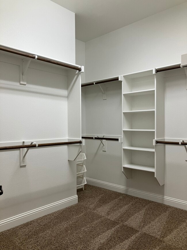 Building Photo - 2829 Sheffield Ct