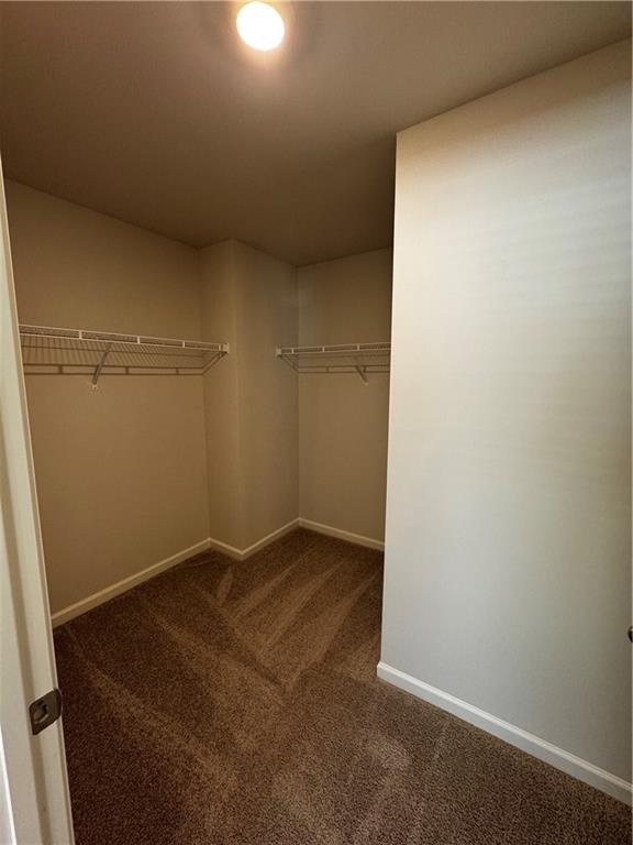 Building Photo - 3120 Greyton Dr