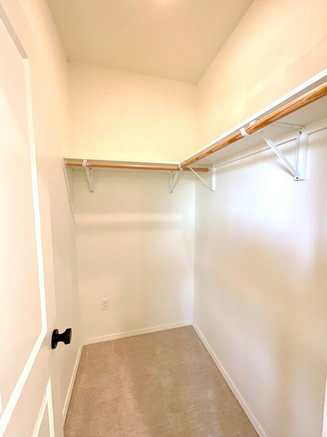 Building Photo - 1202 Mystic Dr