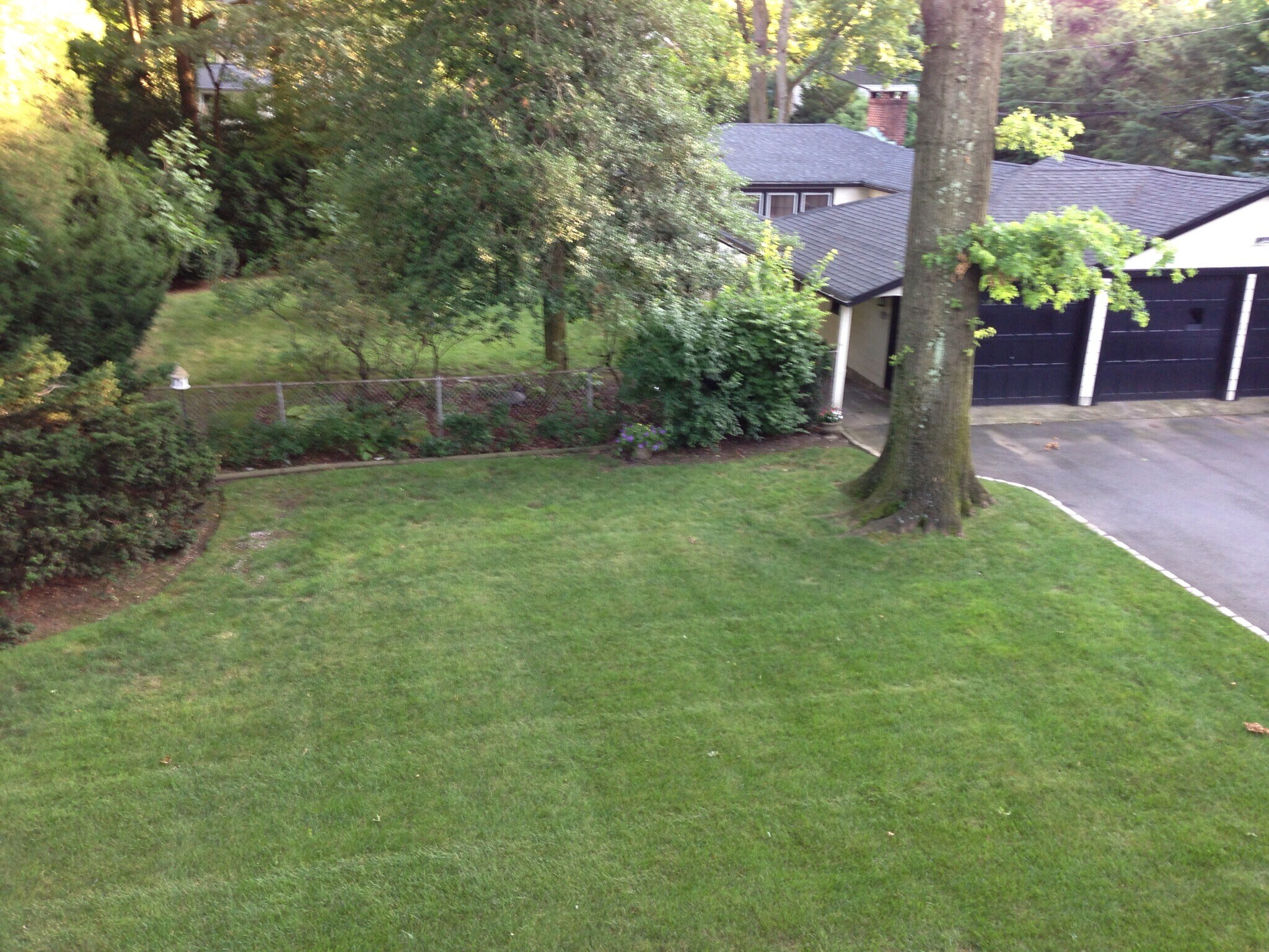 Overhead View - 82 Winsor Pl