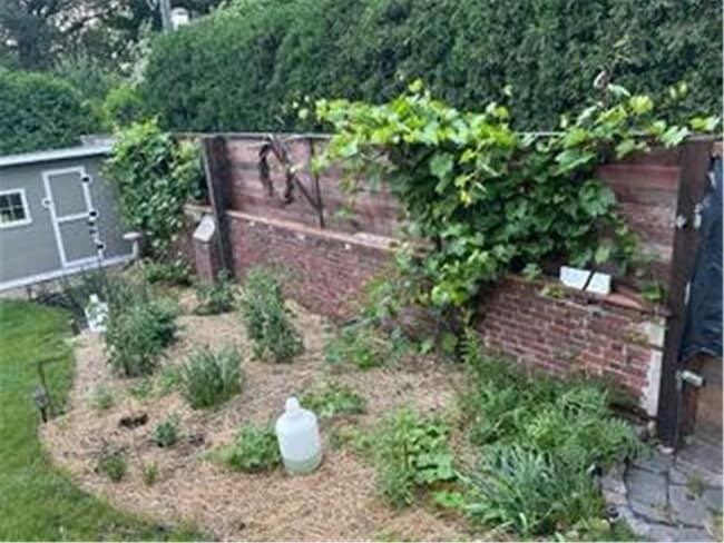 Building Photo - 139 Otis Avenue