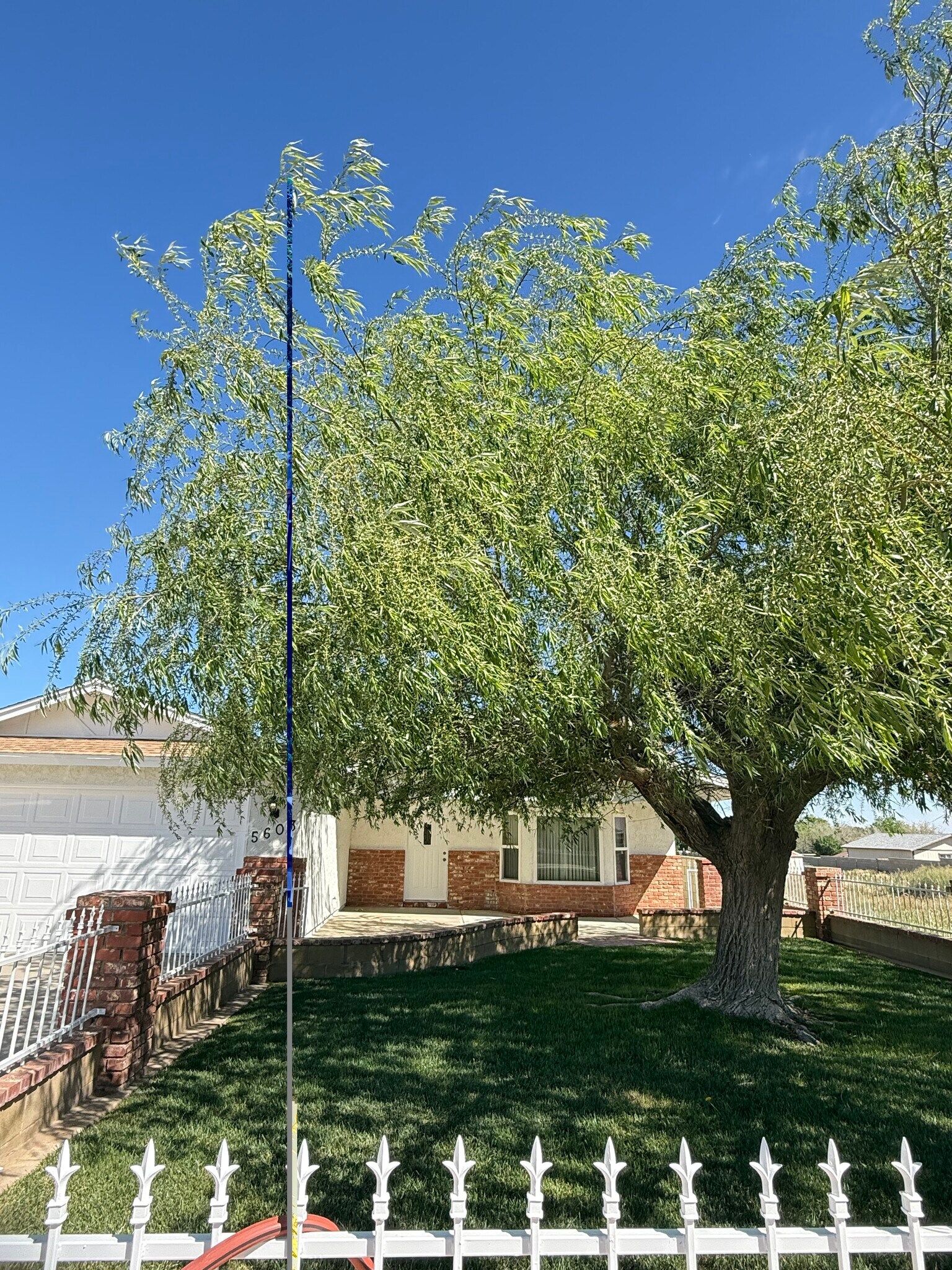 Building Photo - 5603 W Avenue M2