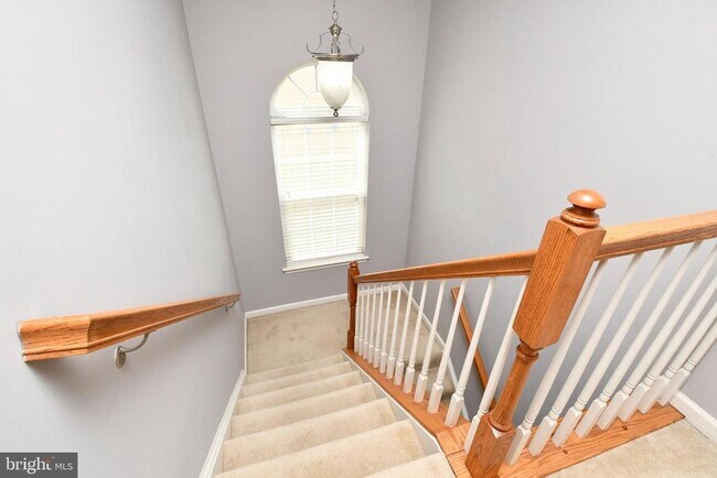 Building Photo - 1007 Wright Ct