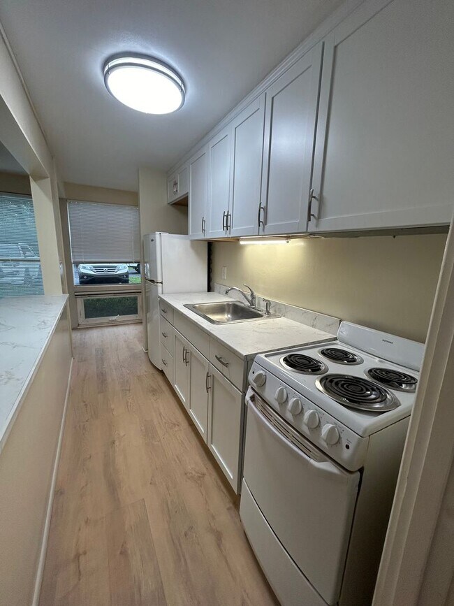 Building Photo - First-Floor One Bedroom, One Bathroom Apartment on S. Corl Street