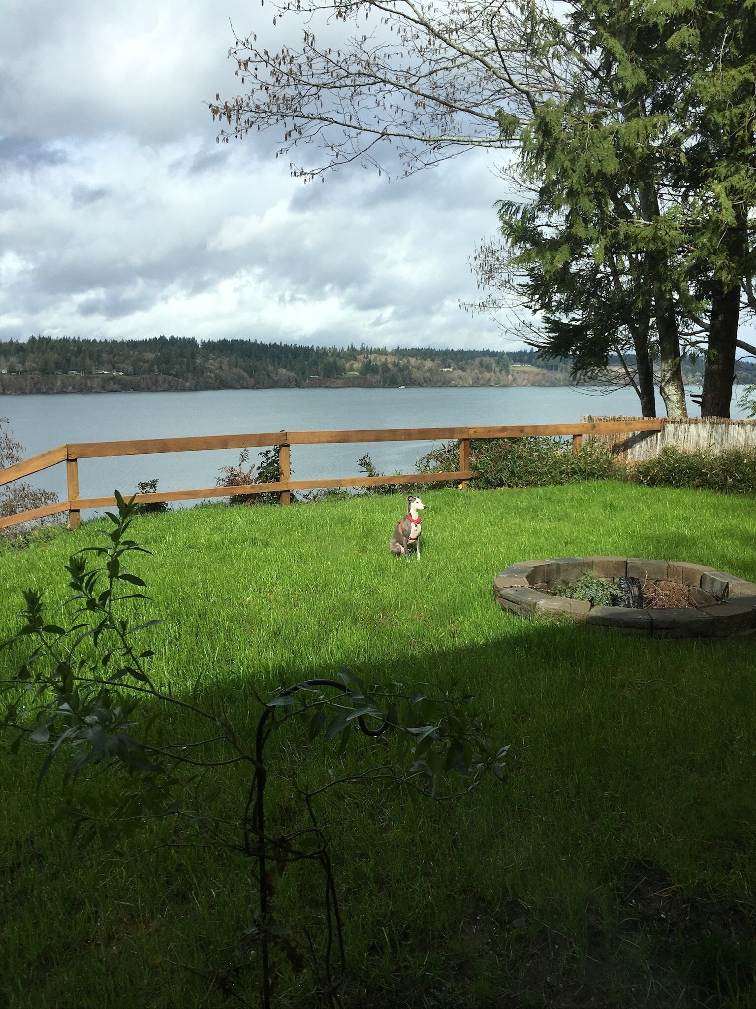 Building Photo - 9621 Steamboat Island Road Northwest