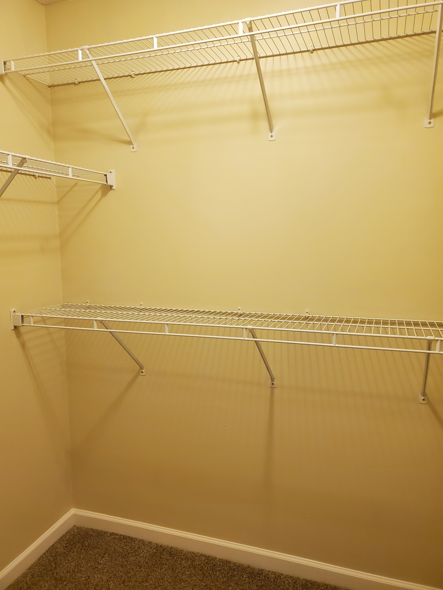 Master Bedroom Closet - 2748 Michelle Park