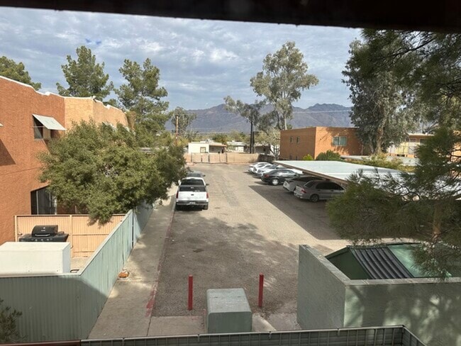 Building Photo - Palm Villas