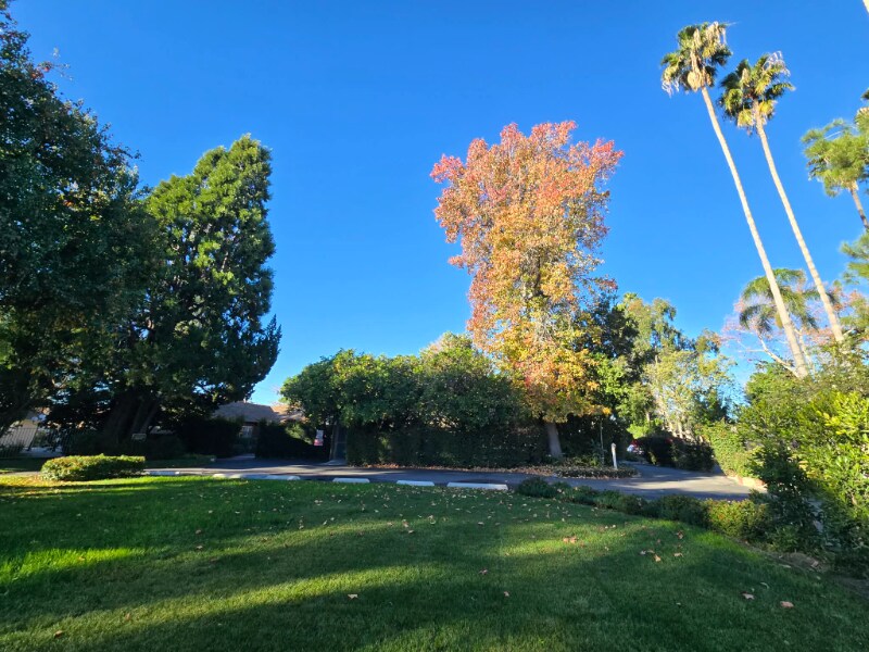 Building Photo - 13531 Wyandotte St
