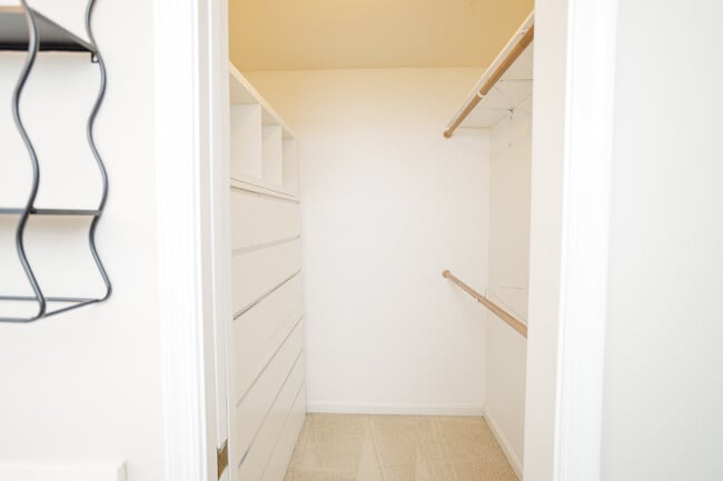 Building Photo - 2815 Lee Oaks Ct