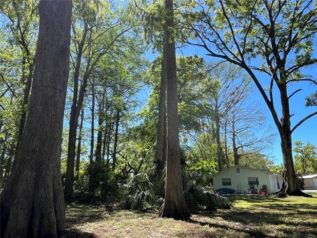 Building Photo - 8546 Cameo Dr