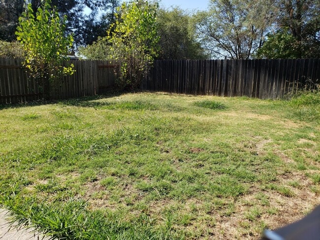 Building Photo - Nice, Cute and Clean!!!