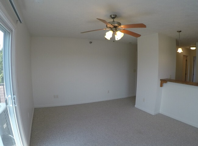 One Bed One Bath @ 140 S Salisbury - O'Neil Property Management on S. Salisbury St