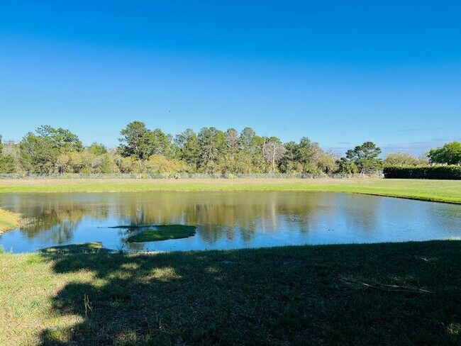 Building Photo - 2 Bedroom UCF Duplex