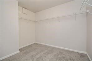 Building Photo - 303 Mantova Dr