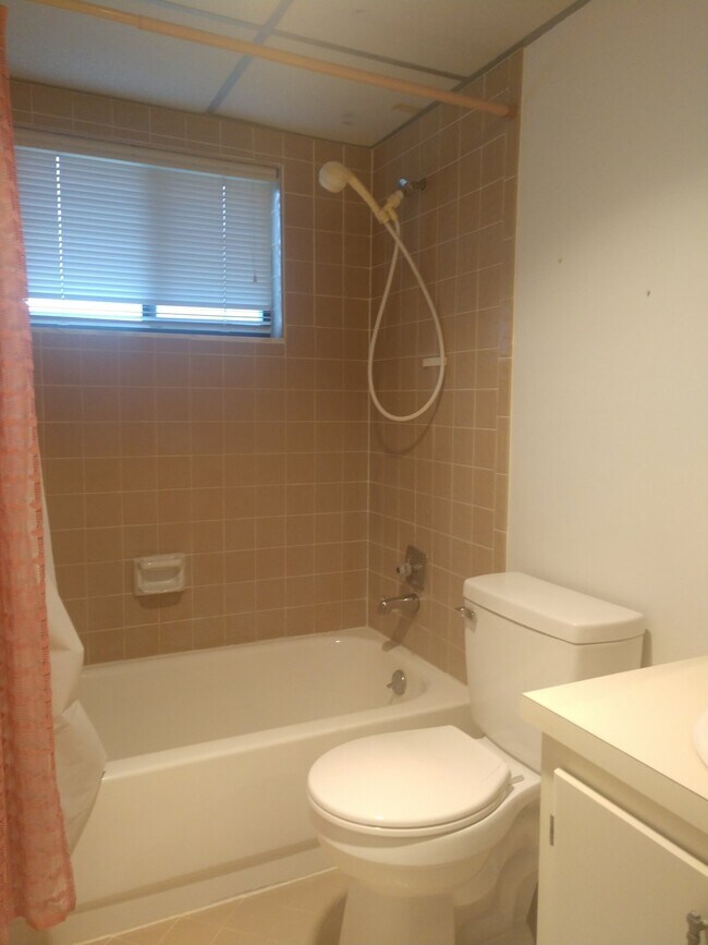 Building Photo - 2 Bedroom/2 Bath Palm Harbor Condo